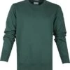 Colorful Standard Sweater Organic Groen -Kleding Kortings Winkel 64218 1
