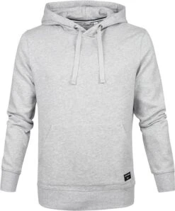 Bjorn Borg Hoodie Lichtgrijs