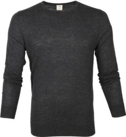 Olymp Trui Lvl 5 Antraciet -Kleding Kortings Winkel 67040 5 1