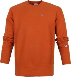 Champion Sweater Reverse Weave Bruin