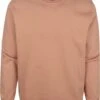 Colorful Standard Sweater Organic Bruin -Kleding Kortings Winkel 73271 1
