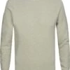 Profuomo Trui Lichtgroen -Kleding Kortings Winkel 77045 1
